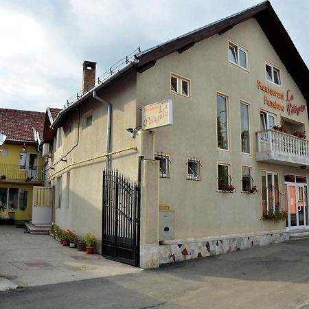 Pensiunea La Palaguta Baia Mare Dış mekan fotoğraf