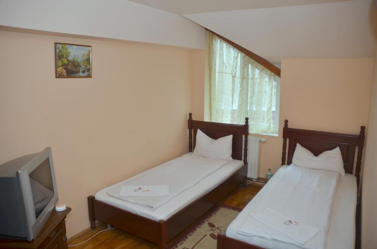 Pensiunea La Palaguta Baia Mare Dış mekan fotoğraf