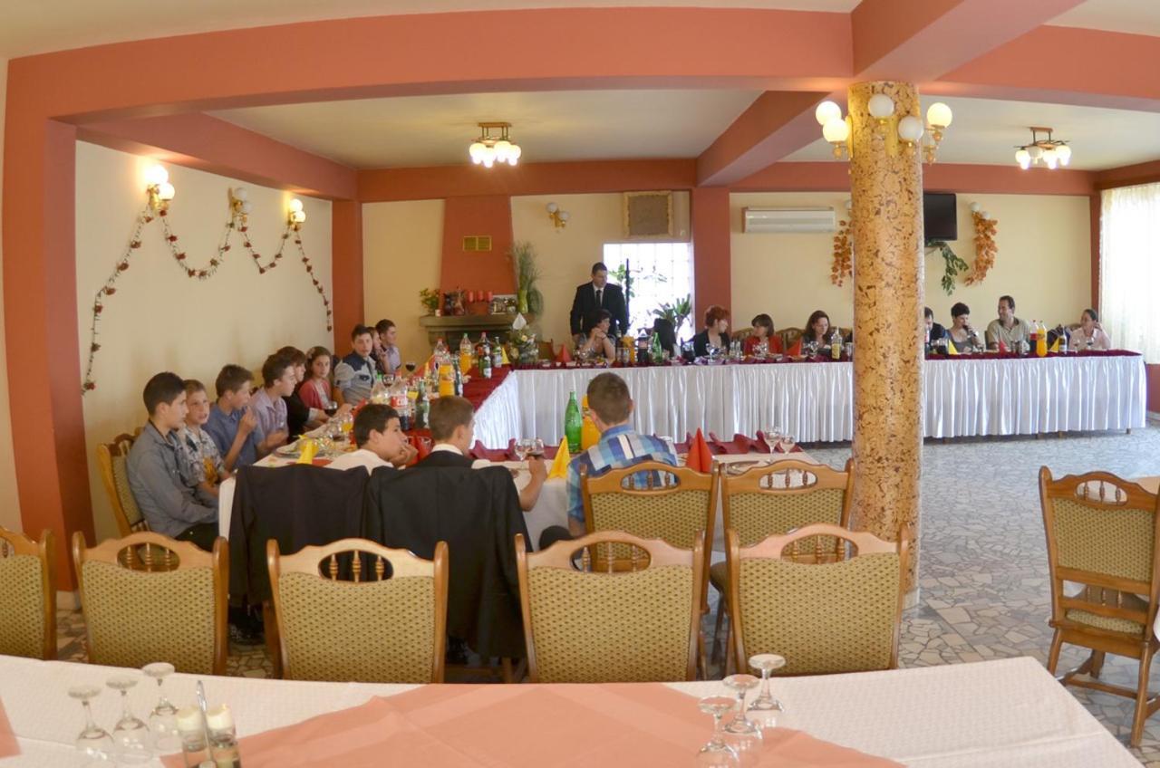 Pensiunea La Palaguta Baia Mare Dış mekan fotoğraf