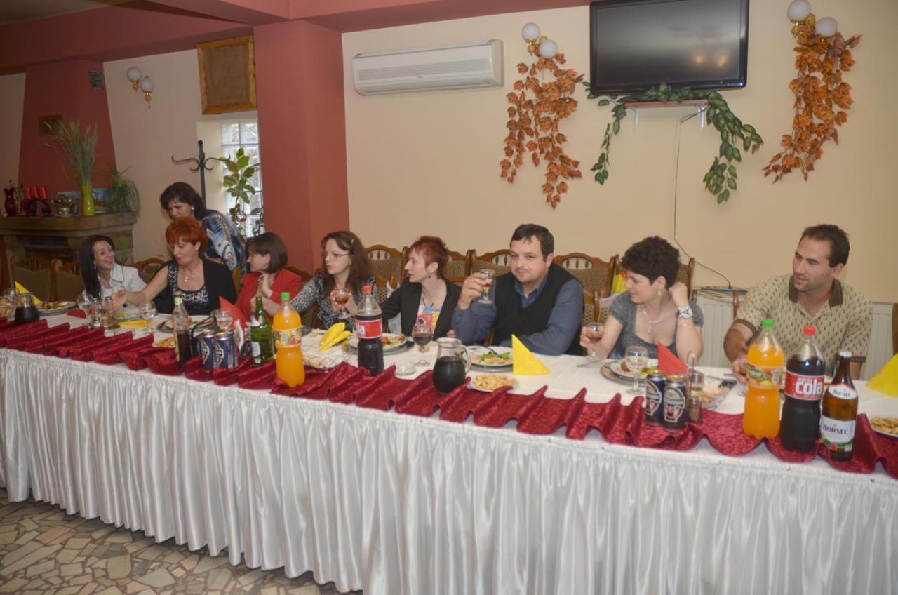 Pensiunea La Palaguta Baia Mare Dış mekan fotoğraf