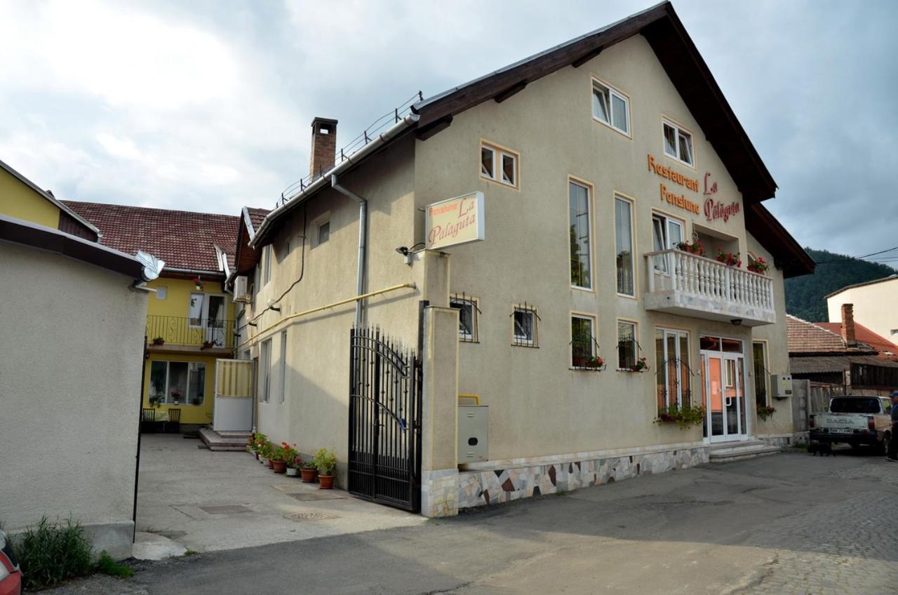 Pensiunea La Palaguta Baia Mare Dış mekan fotoğraf