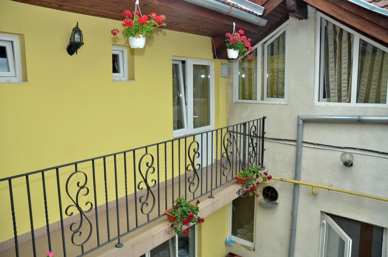 Pensiunea La Palaguta Baia Mare Dış mekan fotoğraf